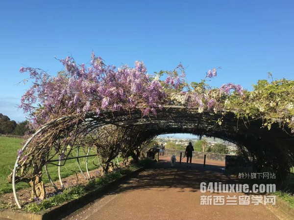 ���ز��״�W(xu��)���̌W(xu��)Ժ