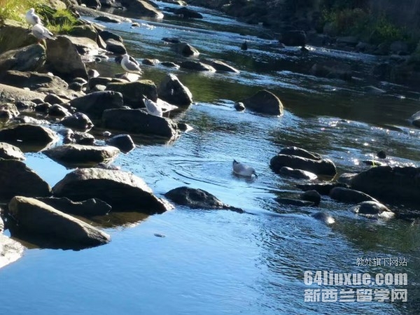 �����m��W(xu��)Ӌ(j��)��C(j��)���I(y��)