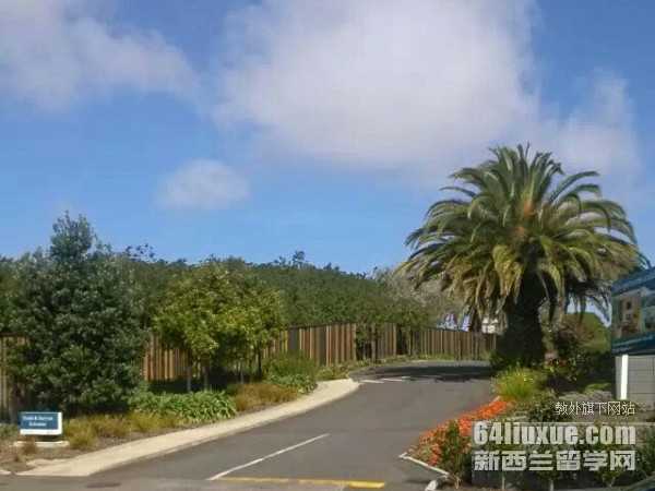 懷卡托大學(xué)金融專業(yè)