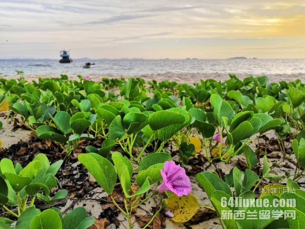 ̩����W(xu��)���I(y��)�Tʿ�x����