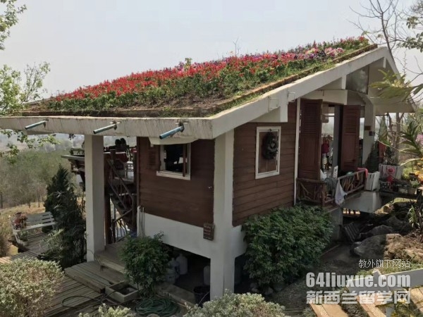 ̩��(gu��)�Ĵ�W(xu��)�W(xu��)�M(f��i)һ�����